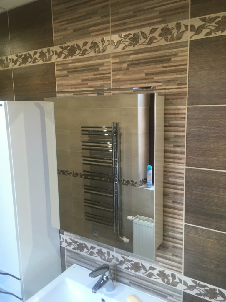Malá koupelna se sprchovým koutem v panelákovém bytě - otopný žebřík