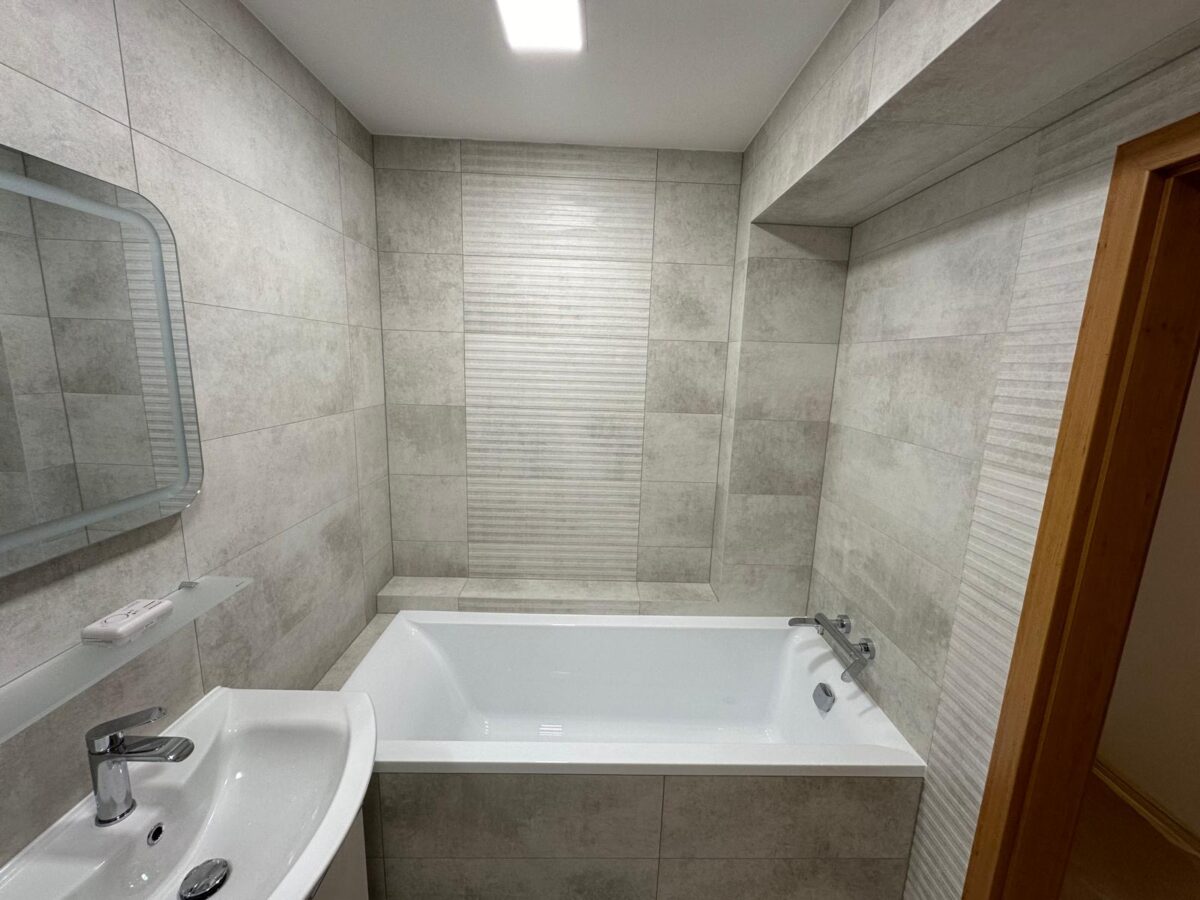 Krásná moderní koupelna v šedých barvách s velkou vanou a samostatným WC (Most)